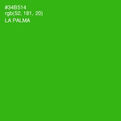 #34B514 - La Palma Color Image